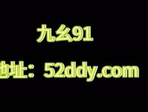 九幺 91 旧版安装指南：九幺 91 旧版，功能强大的安装指南