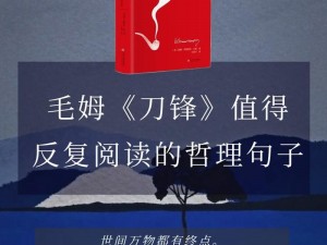 《刀锋无双阵法秘籍：玩转无懈可击的阵法技巧》