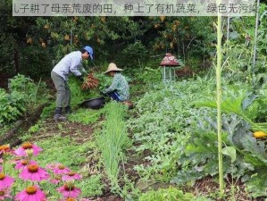 儿子耕了母亲荒废的田，种上了有机蔬菜，绿色无污染