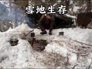 雪地生存指南：和平精英中如何巧妙生火取暖