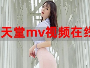 国产精品 mv 软件：打造属于我们的视觉盛宴