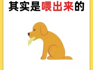 人狗胶配方大全：狗狗一天吃多少，营养又健康的宠物食品