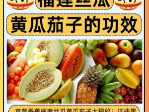 新鲜采摘的丝瓜、榴莲、黄瓜、樱桃、茄子，各种风格应有尽有，任你挑选观看