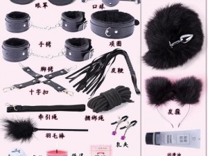 sp 调教 1V1 训诫——成人情趣用品，专业调教工具