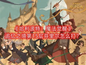 哈利波特魔法觉醒：第15层追忆之境深度攻略——策略与技巧全解析