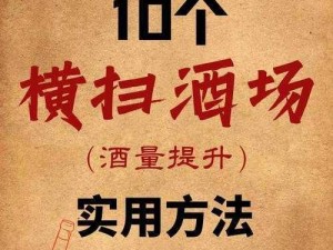 关于江湖风云录酒量影响与提升秘籍：酒量对战斗助力大，酒意深入解析