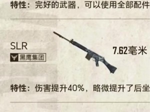 关于Raven掠夺者人类PK武器选择详解：哪款武器更胜筹？的全面解析