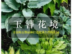 国产亚洲精品久久飘花，一款真正打造的高品质花卉