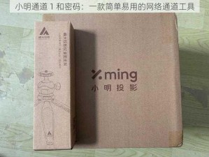 小明通道 1 和密码：一款简单易用的网络通道工具