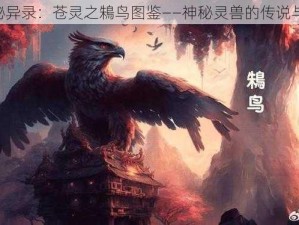 《玄秘异录：苍灵之鴸鸟图鉴——神秘灵兽的传说与探索》