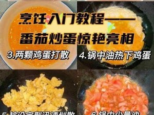 爆炒江湖秘制：优级番茄炒蛋的烹饪详解