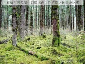 原神世界探秘：彩深褐色生物栖息之地寻迹之旅