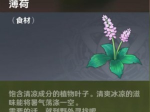 原神草神拉肚子：提瓦特大陆上的神奇植物草药