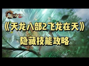 《天龙部2飞龙战天》手游星宿职业攻略大全：心法修炼与实战技巧详解