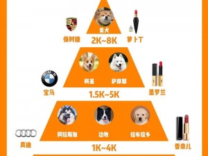 [m 对主人的礼仪 20 条]高品质宠物用品推荐