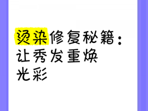 美发店的服务 5：专业染发、烫发、护理，让你的秀发重焕光彩