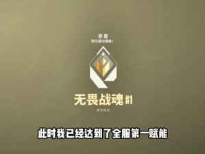 战魂铭刻传中：灵魂结晶的奥秘作用及其于灵魂绑定中的角色赋能作用揭秘