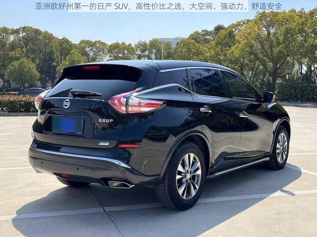 亚洲欧好州第一的日产 SUV，高性价比之选，大空间、强动力，舒适安全