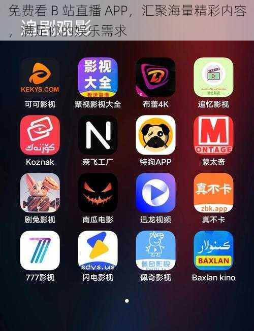 免费看 B 站直播 APP，汇聚海量精彩内容，满足你的娱乐需求