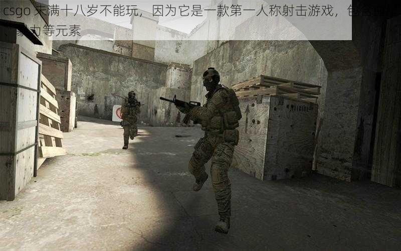 csgo 未满十八岁不能玩，因为它是一款第一人称射击游戏，包含血腥、暴力等元素