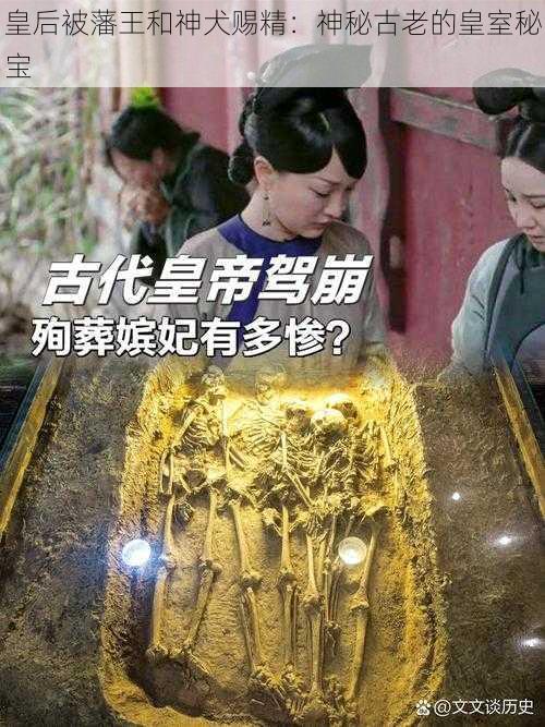 皇后被藩王和神犬赐精：神秘古老的皇室秘宝