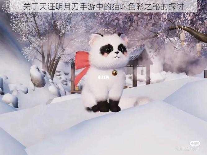 关于天涯明月刀手游中的猫咪色彩之秘的探讨