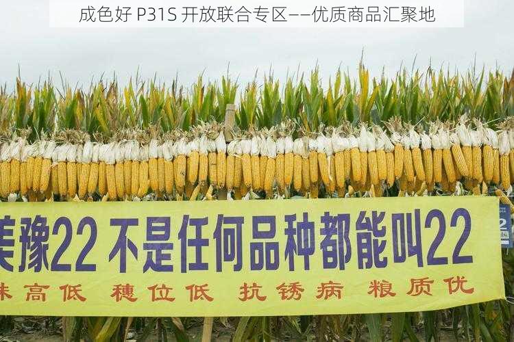 成色好 P31S 开放联合专区——优质商品汇聚地