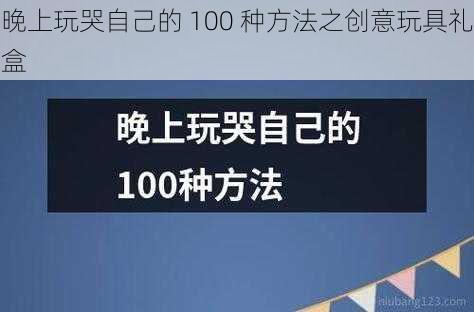 晚上玩哭自己的 100 种方法之创意玩具礼盒