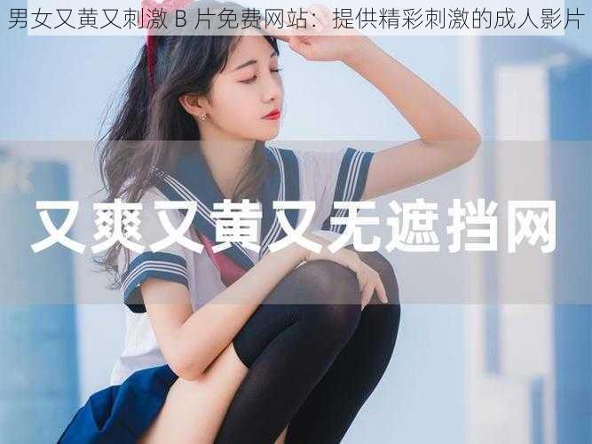 男女又黄又刺激 B 片免费网站：提供精彩刺激的成人影片