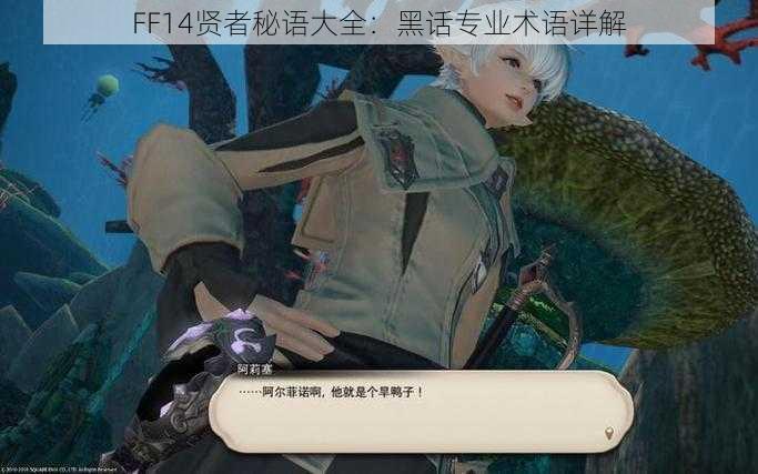 FF14贤者秘语大全：黑话专业术语详解