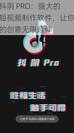 抖阴 PRO：强大的短视频制作软件，让你的创意无限延伸