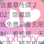 含羞草传媒 2021 隐藏路线免费观看无限制：看视频，无广告，畅享极致体验