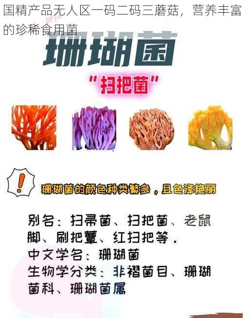 国精产品无人区一码二码三蘑菇，营养丰富的珍稀食用菌