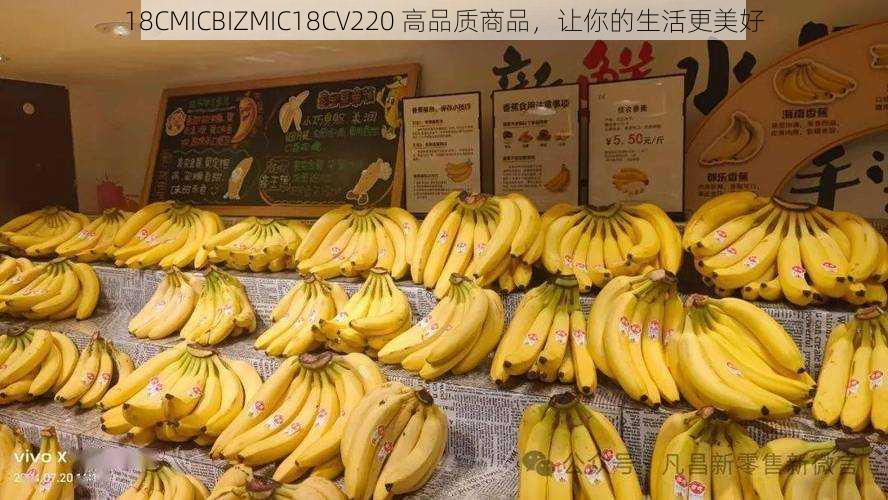 18CMICBIZMIC18CV220 高品质商品，让你的生活更美好