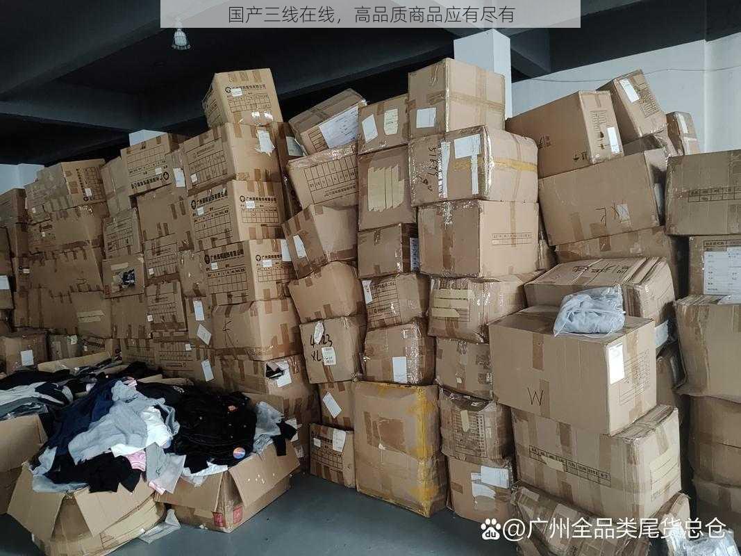 国产三线在线，高品质商品应有尽有