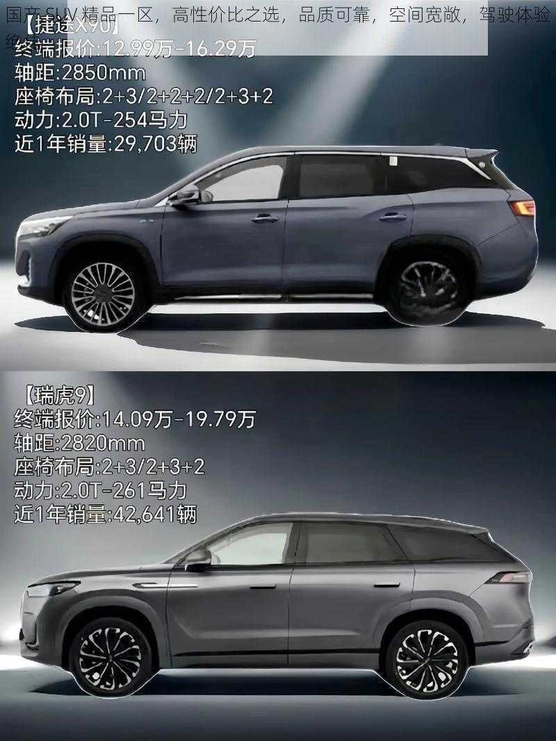 国产 SUV 精品一区，高性价比之选，品质可靠，空间宽敞，驾驶体验绝佳