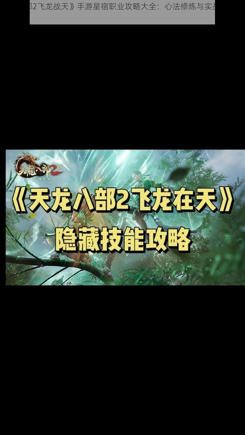 《天龙部2飞龙战天》手游星宿职业攻略大全：心法修炼与实战技巧详解