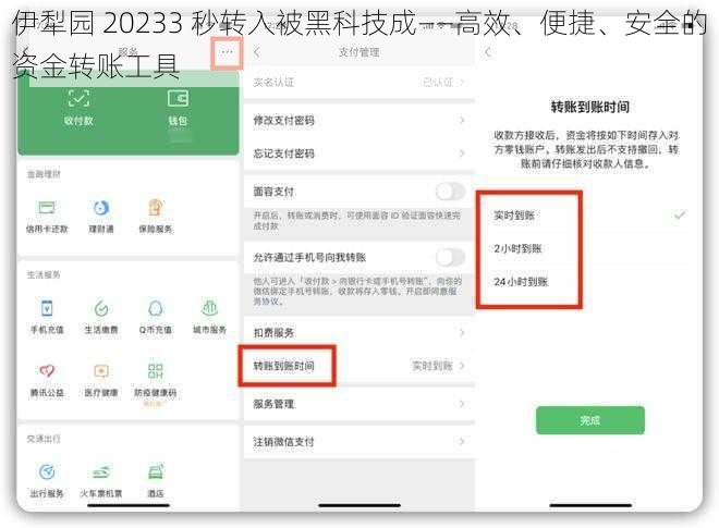 伊犁园 20233 秒转入被黑科技成——高效、便捷、安全的资金转账工具