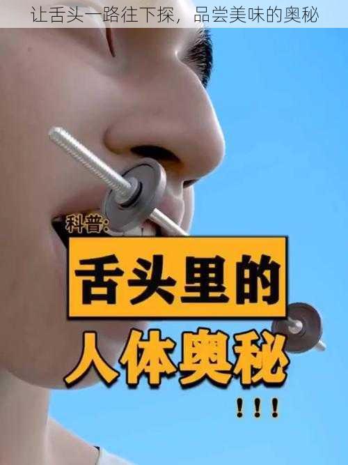 让舌头一路往下探，品尝美味的奥秘