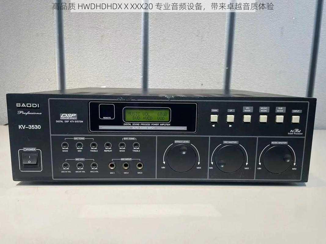 高品质 HWDHDHDXⅩXXX20 专业音频设备，带来卓越音质体验