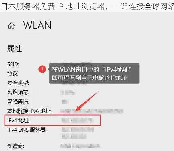 日本服务器免费 IP 地址浏览器，一键连接全球网络