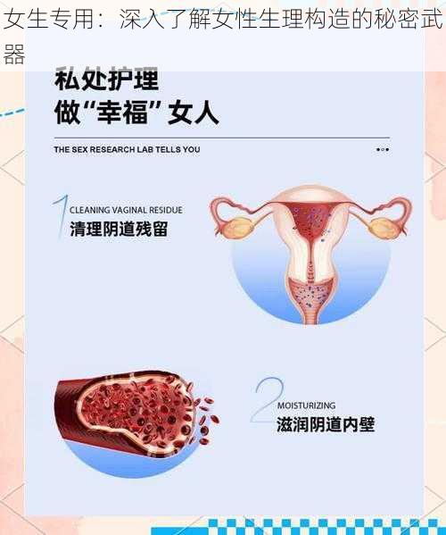 女生专用：深入了解女性生理构造的秘密武器