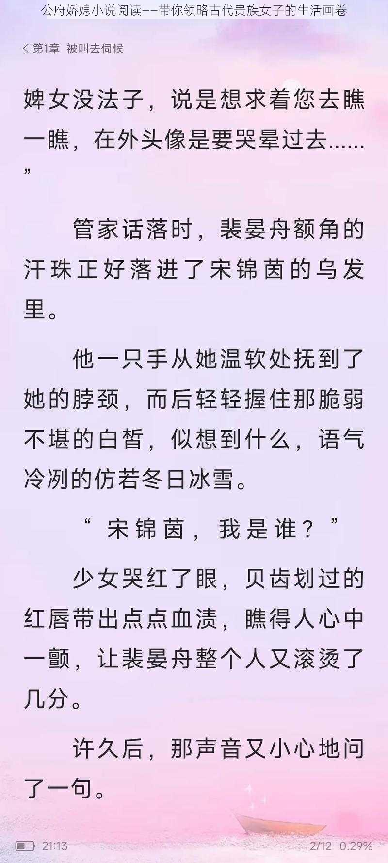 公府娇媳小说阅读——带你领略古代贵族女子的生活画卷