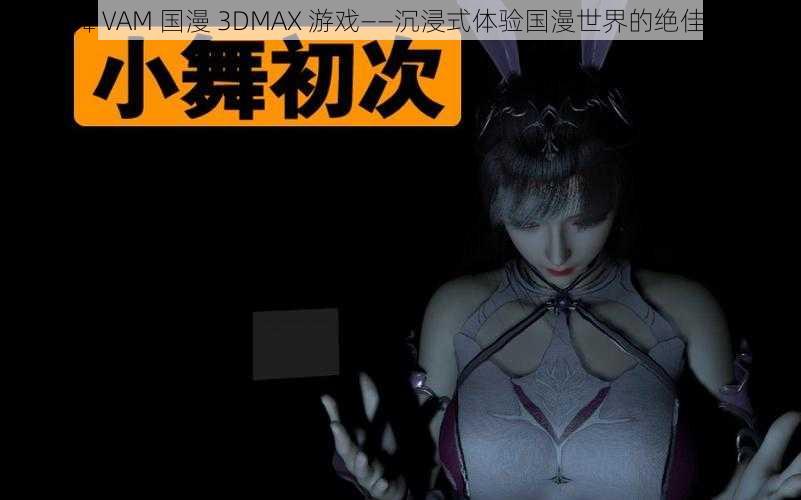 小舞 VAM 国漫 3DMAX 游戏——沉浸式体验国漫世界的绝佳选择