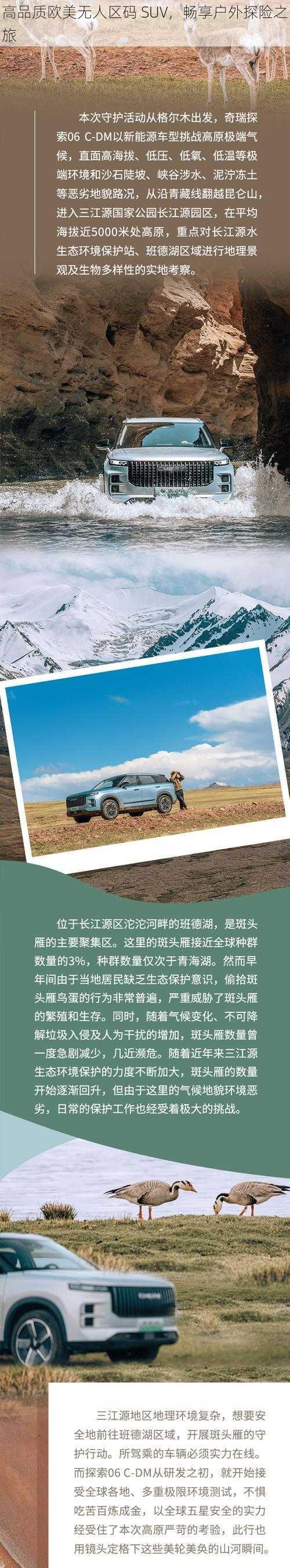 高品质欧美无人区码 SUV，畅享户外探险之旅