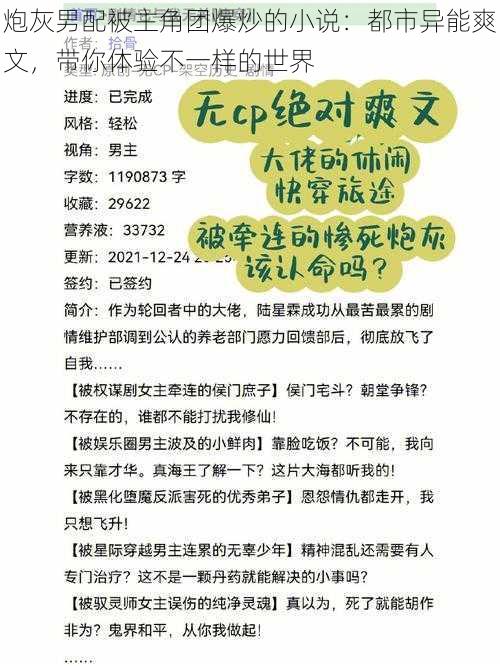 炮灰男配被主角团爆炒的小说：都市异能爽文，带你体验不一样的世界