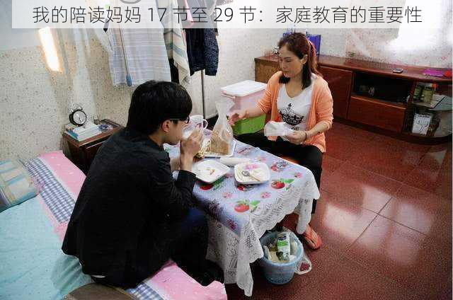 我的陪读妈妈 17 节至 29 节：家庭教育的重要性