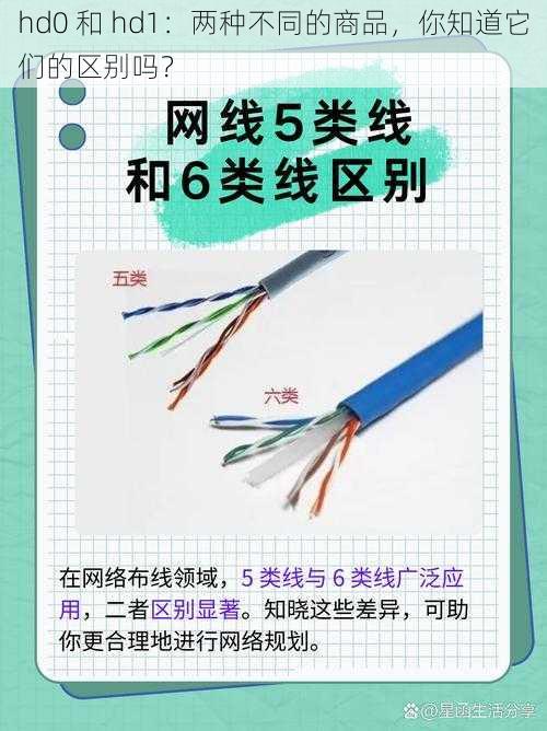 hd0 和 hd1：两种不同的商品，你知道它们的区别吗？