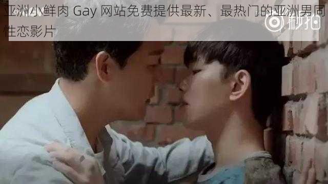 亚洲小鲜肉 Gay 网站免费提供最新、最热门的亚洲男同性恋影片