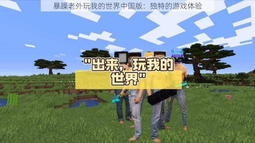 暴躁老外玩我的世界中国版：独特的游戏体验